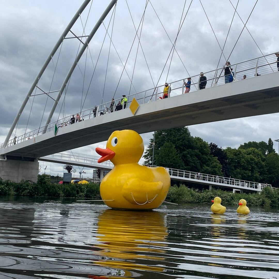 Custom-Giant-Duck