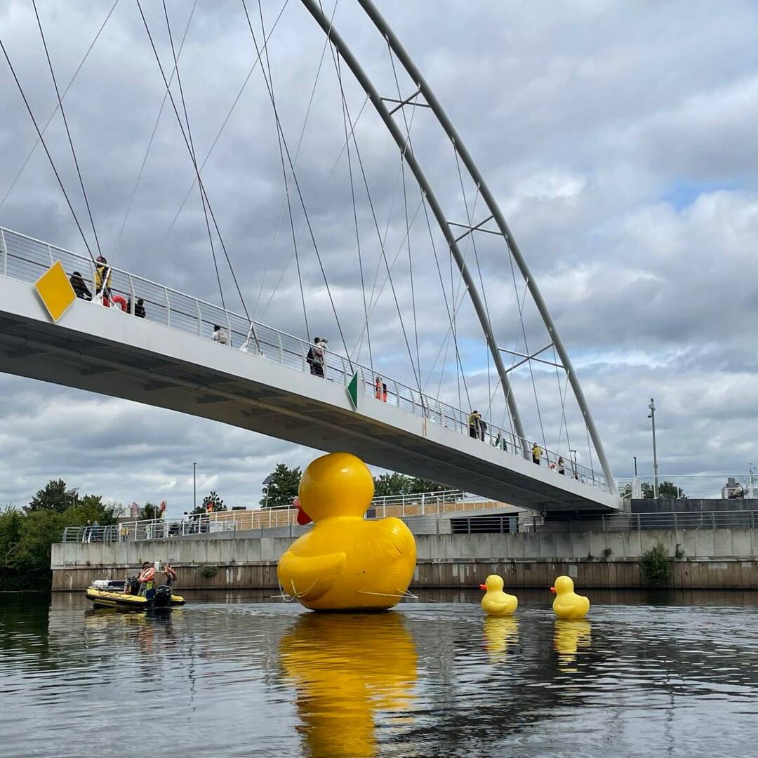 Inflatable-Duck-Nottingham