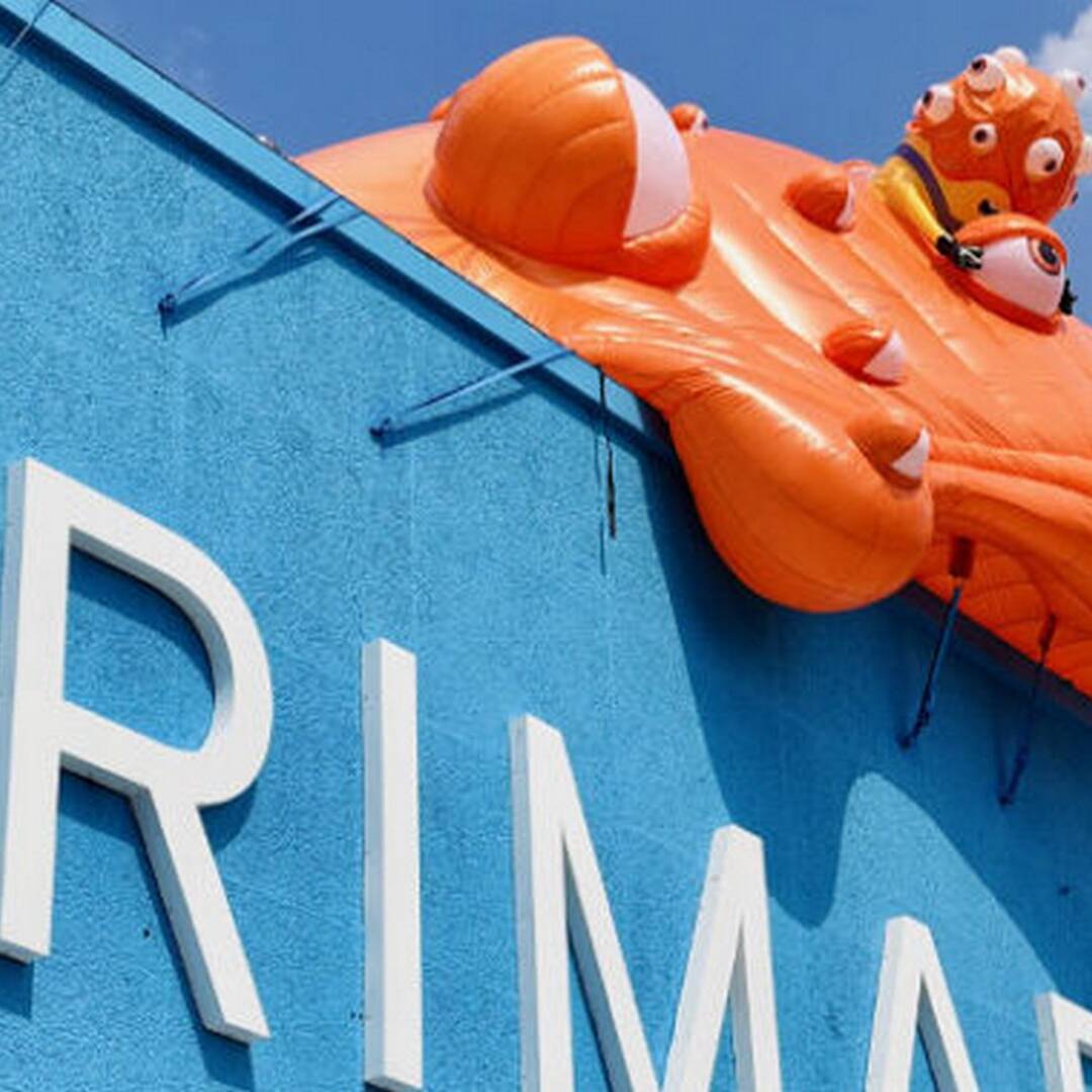 Rooftop-Inflatable-Installation
